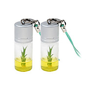 vera pianta di bambù fortunato Growable in-a-bottiglia portachiavi (2-pack)