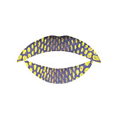 5 stk gule og brune fishnet temporaty læbe tatovering mærkat