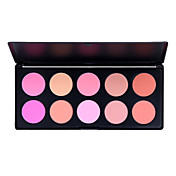 10 kleuren blush palette professionele