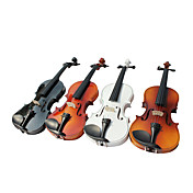 4/4 violino solido basswood (multicolore)