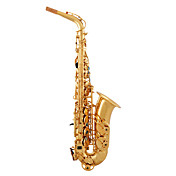 halverwege student altsaxofoon