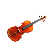 violintine - (v20) 1/2 di livello professionale legno massello di abete e 1-pezzo per violino in acero fiammato con scatola / fiocco