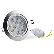 12W 1080-1200lm 6000-6500K luonnon valkoinen valo johti katto lamppu (85-265V)