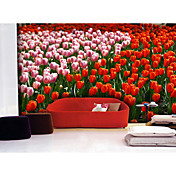 Colorful Tulips Nature Mural