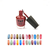 Amazing Color Magnetic 3D Magic Trendy Nail Polish And 1 Pattern Magnetic Slice Kit