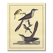 Illustratie op gespannen doek Prints Animal 20 "x 24" Tall