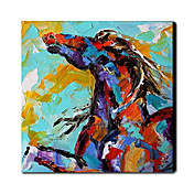 Hand Painted Oliemaleri Animal 1211-AN0034