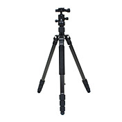 Benro tripé de câmera Kit C1681TB0