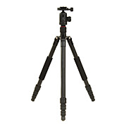 DIDEA tripé de câmera para câmera digital K214, SLR e DSLR