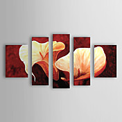 Pintados à mão pintura a óleo floral Calla Lily Conjunto de 5 1302-FL0070
