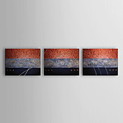 Pintados à mão de óleo Set Pintura abstrata de 3-1303 AB0392