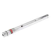 Inoxidável Pen Aço Forma 5mW ponteiro laser verde com Efeito especial (2xAAA)