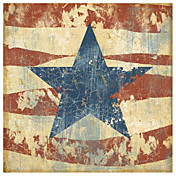 Printed Art Old Glory I by John Zaccheo