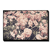 Framed Art Print Floral Ginger Poppies by Mindy Sommers - Photography