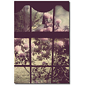 Trykt Canvas Art The Window av Mindy Sommers - Fotografering med Strethed Frame