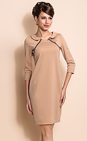 ts eenvoud pan kraag rits decor jurk
