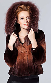 Long Sleeve Raccoon Hooded Collar Rex Rabbit Fur Casual/Office Jacket (More Colors)