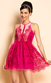 TS Sexy Lace Skater Dress