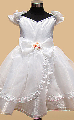 Organza A-line Princess Flower Girl Dress