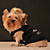  Chien humoristique t-shirt pour chien en tissu (0775-007)