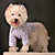  Chien humoristique t-shirt pour chien en tissu (0775-010)