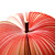  Unique Mini Apple Shaped Sticky Memo Pad (Red)