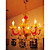  Candle 8-light K9 Crystal Chandelier (0945-941-8)