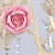  Crystal Chandelier with 3 Lights in Rose Feature