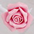  Floral Ceiling Light with 4 Lights in Rose Decorration