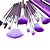 Professional Brush Set With Dark Lovely Pouch(16 Pcs)