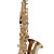  HLS1 Student Alto Saxophone