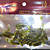  Soft Bait Worm 40MM 1G Silicon Fishing Lure Packs (20 pcs/Color Assorted)