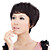  Capless Mixed Hair Short Straight Elegant Wig