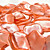  1" Handmade Rose Petals Decoration - Pack of 200 Pieces (More Colors)