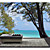  Coastal Landscapes Beach and Tropical Nature Mural