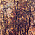  Brown Trees Natur Mural