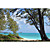  Coastal Landscapes Beach and Tropical Nature Mural