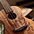  Rainie - (CC-02) High-Grand Solid Acacia Koa Concert Ukulele with Gig Bag/Tuner (Coffee Tatoo)