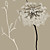 Bloemen Hedendaagse Grafische Natuur Mural