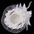  Simple Feather With Lace Women's Hats