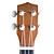  (Volver Arch) Estilo uva Boca Basswood Plastic Side Top & Soprano Ukulele Volver a Bolsa / Selecciones (Brown)