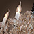  Luxury Crystal Chandelier with 6 Lights
