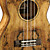  TOM - (TUC-800) Saplted Maple Concert Ukulele with Bag