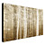  Printed Art Landscape Forest Mist by Pela + Silverman
