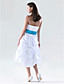  A-line Strapless Knee-length Taffeta Pick-up Bridesmaid/Homecoming Dress