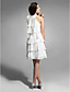 NORI - Cocktailjurk van Chiffon