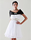  Tulle With Rhinestone Clasp Bridal Wedding Shawl