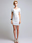  TS Gray Form Fitted Short Sleeve Dress Inspired by RUNWAY