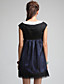  TS Stereoscopic Decoration Cape Sleeves Organza Dress