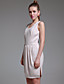  TS Bud Skirt Sleeveless Dress
